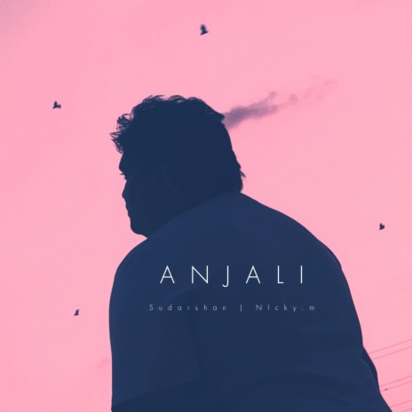 Anjali (Special Version) ft. Nicky.M | Boomplay Music
