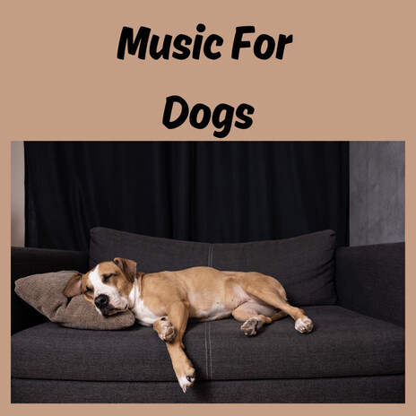 Deep Sleep for Dogs ft. Music For Dogs Peace, Relaxing Puppy Music & Calm Pets Music Academy