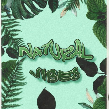 NATURAL VIBES | Boomplay Music