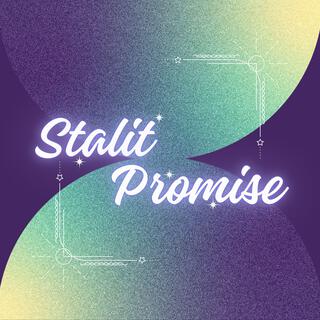 Starlit Promise lyrics | Boomplay Music