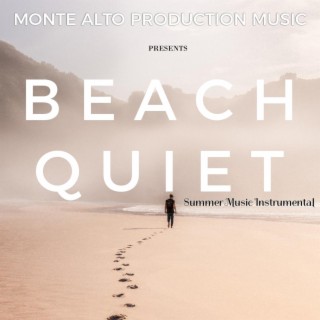 SUMMER MUSIC 2022 - BEACH QUIET - INSTRUMETAL