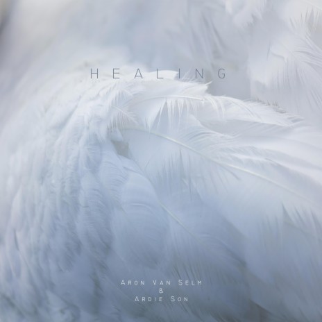 Healing (feat. Ardie Son) | Boomplay Music