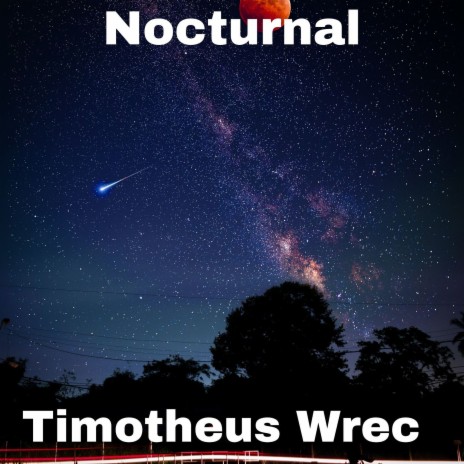 Nocturnal | Boomplay Music