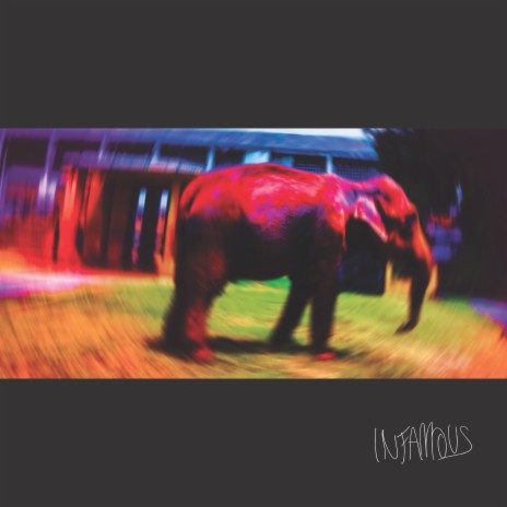 Elephant | Boomplay Music