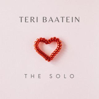 Teri Baatein