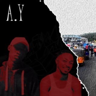 We Strive (feat. Kweku Rhoody) lyrics | Boomplay Music