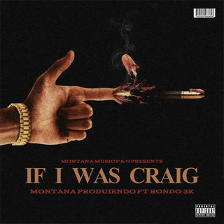 If I Was Craig