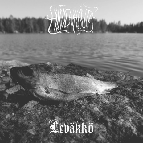 Leväkkö | Boomplay Music