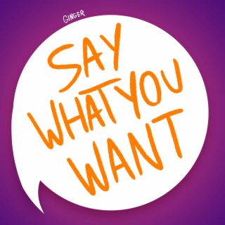 Say What You Want lyrics | Boomplay Music