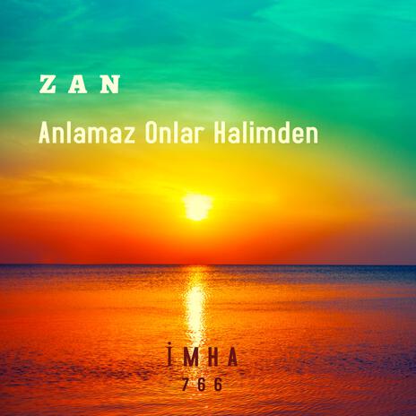 Anlamaz Onlar Halimden | Boomplay Music