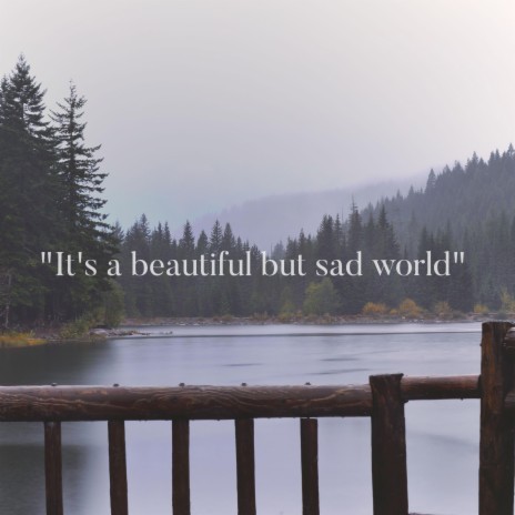 It's A Beautiful But Sad World | Boomplay Music