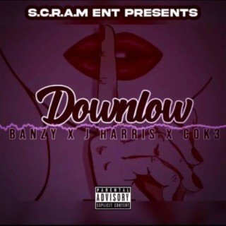 DownLow (feat. J Harris & Cok3)