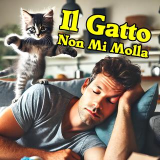 Il gatto non mi molla