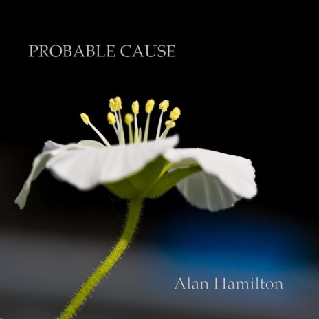 Probable Cause | Boomplay Music