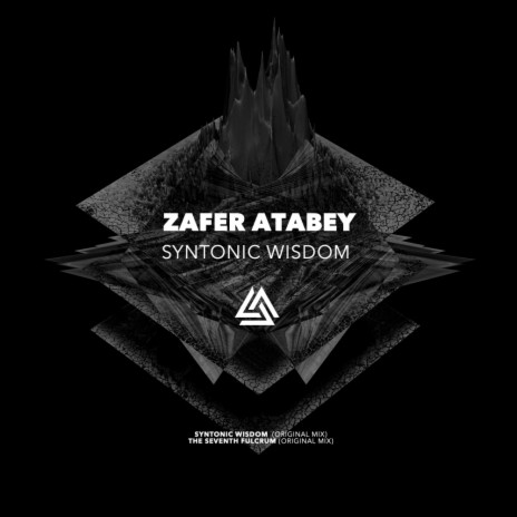 Syntonic Wisdom (Original Mix)