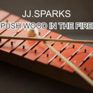 Push Wood in the Fire