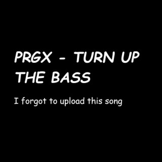 Turn Up The Bass