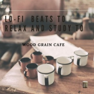 Lo-fi Beats To Relax and Study To, Vol. 18