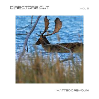 Director's cut, Vol. 2 (music from GEO Documentaries)