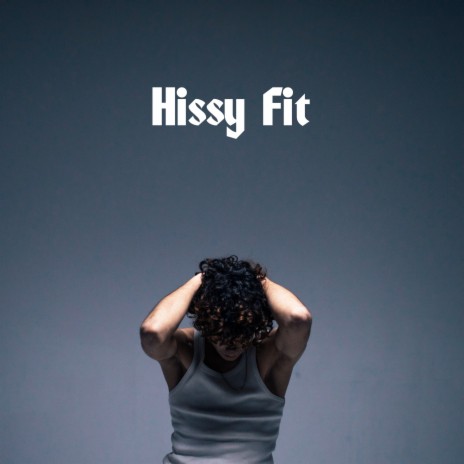 Hissy Fit | Boomplay Music
