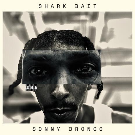 Shark Bait | Boomplay Music