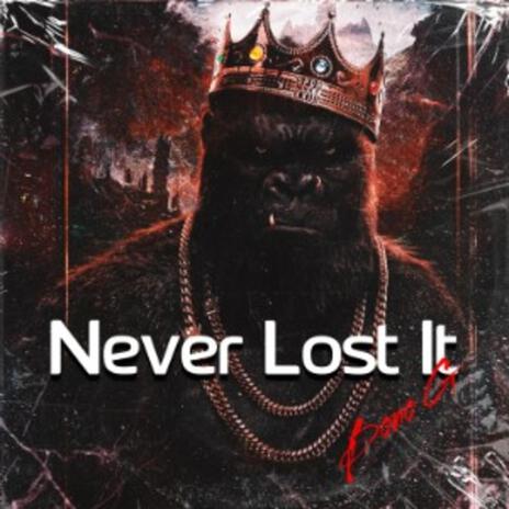 Never Lost It | Boomplay Music