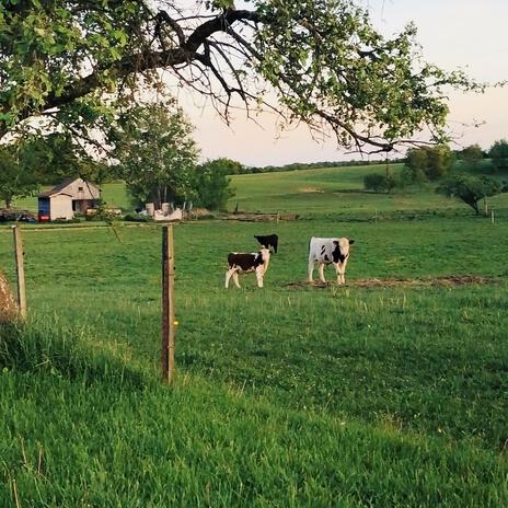 Farmer | Boomplay Music