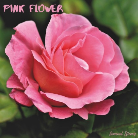 Pink Flower | Boomplay Music