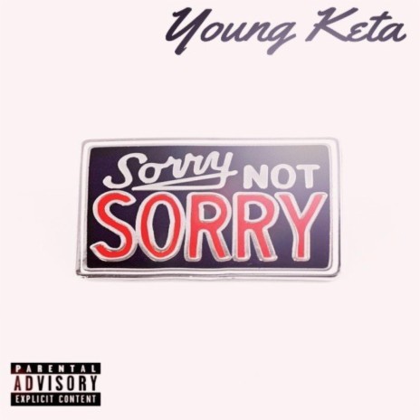 Sorry Not Sorry | Boomplay Music