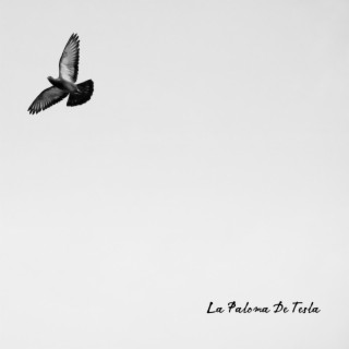 La Paloma De Tesla lyrics | Boomplay Music