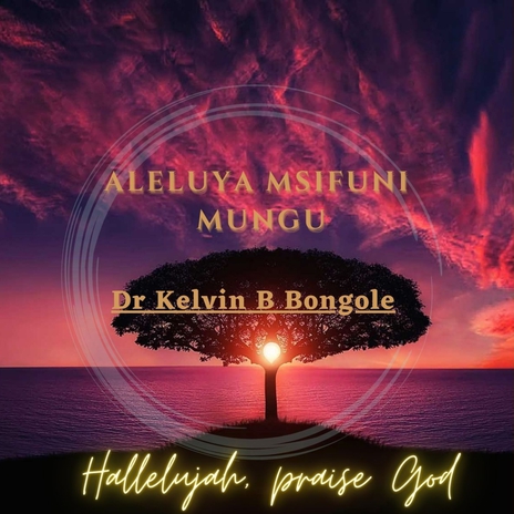 Aleluya Msifuni Mungu ft. St John Paul Mbeya Choir | Boomplay Music