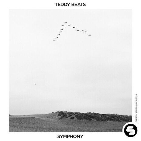 Symphony | Boomplay Music