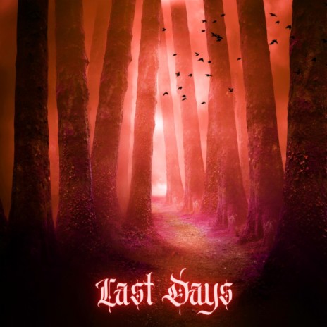 Last Days | Boomplay Music