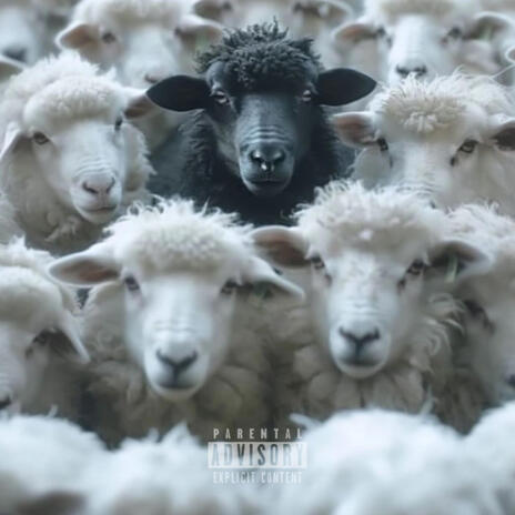 Black Sheep | Boomplay Music