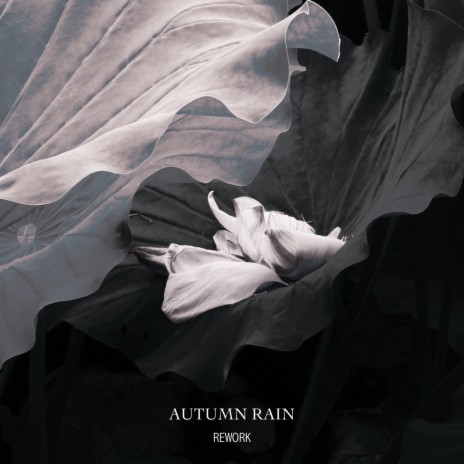Autumn Rain Rework | Boomplay Music