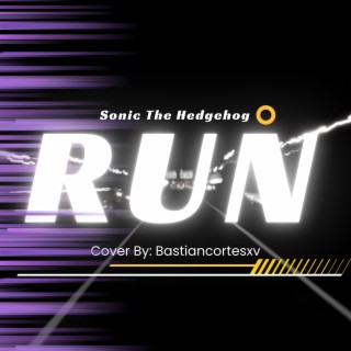 RUN (Sonic The Hedgehog (SONG)
