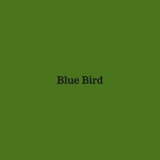 Blue Bird