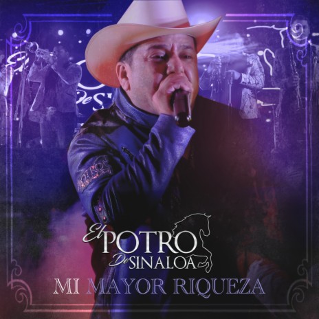 Mi Mayor Riqueza (En Vivo) | Boomplay Music