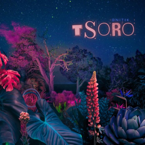 Tsoro | Boomplay Music
