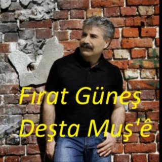 Deşta Mûşê