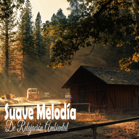 Música de relajación profunda - Refugio Sublime ft. Música Relajante &  Sonidos Naturaleza MP3 Download & Lyrics