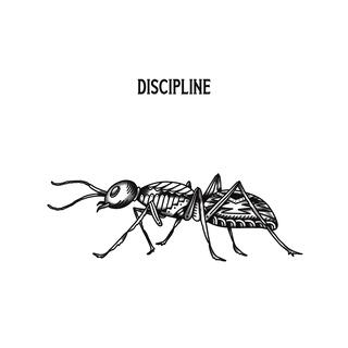 Discipline