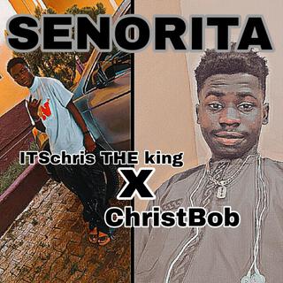 SENORITA (feat. Christbob) lyrics | Boomplay Music