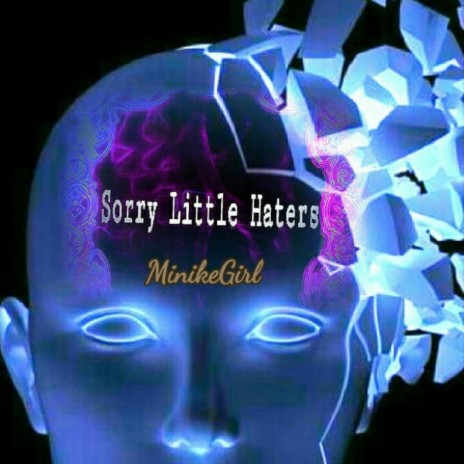 Sorry Little Haters | Boomplay Music