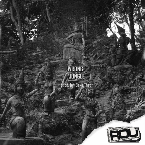 Wrong Jungle | Boomplay Music