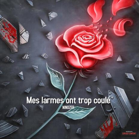 Mes larmes ont trop coulé | Boomplay Music