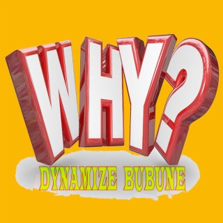 WHY? lyrics | Boomplay Music