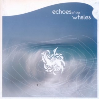 Echoes of the Whales