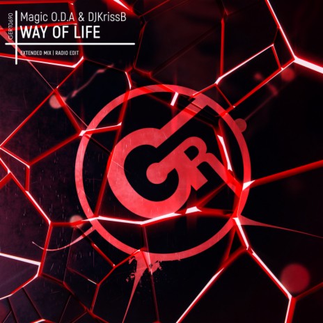 Way Of Life (Radio Edit) ft. DJKrissB | Boomplay Music