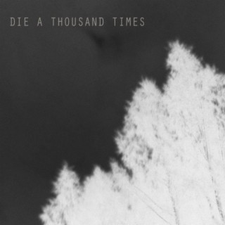 Die a Thousand Times lyrics | Boomplay Music